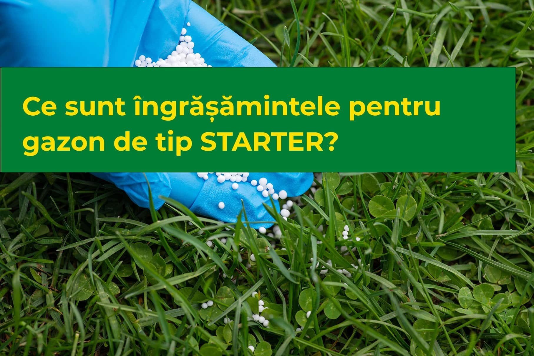 Ce sunt îngrășămintele pentru gazon de tip STARTER?