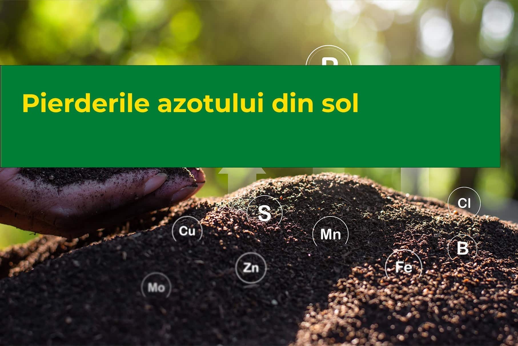 Pierderile azotului din sol