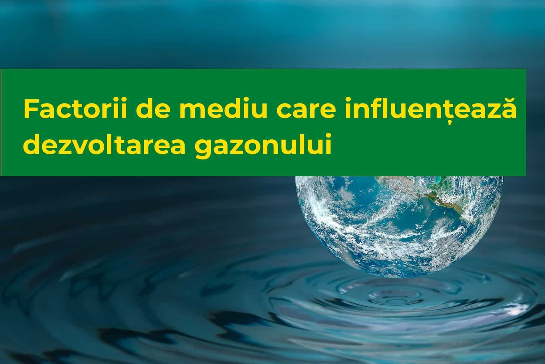 Factorii de mediu care influențează dezvoltarea gazonului
