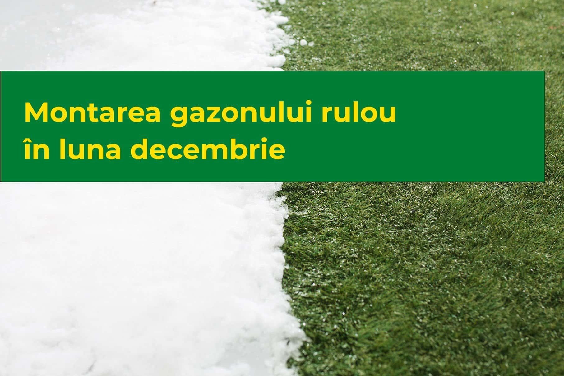 Montarea gazonului rulou în luna decembrie