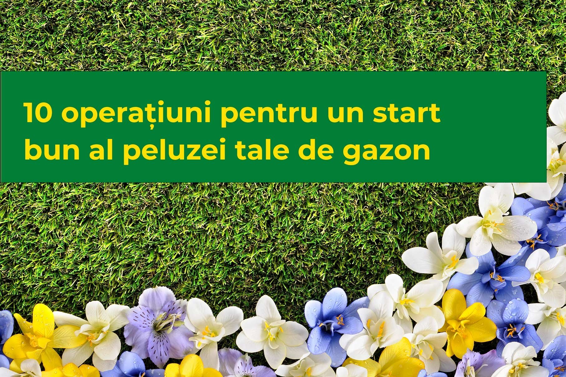10 operațiuni pentru un start bun al peluzei tale de gazon