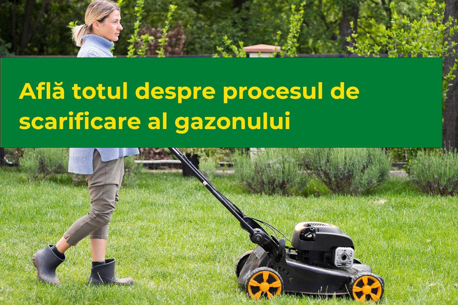 Află totul despre procesul de scarificare al gazonului