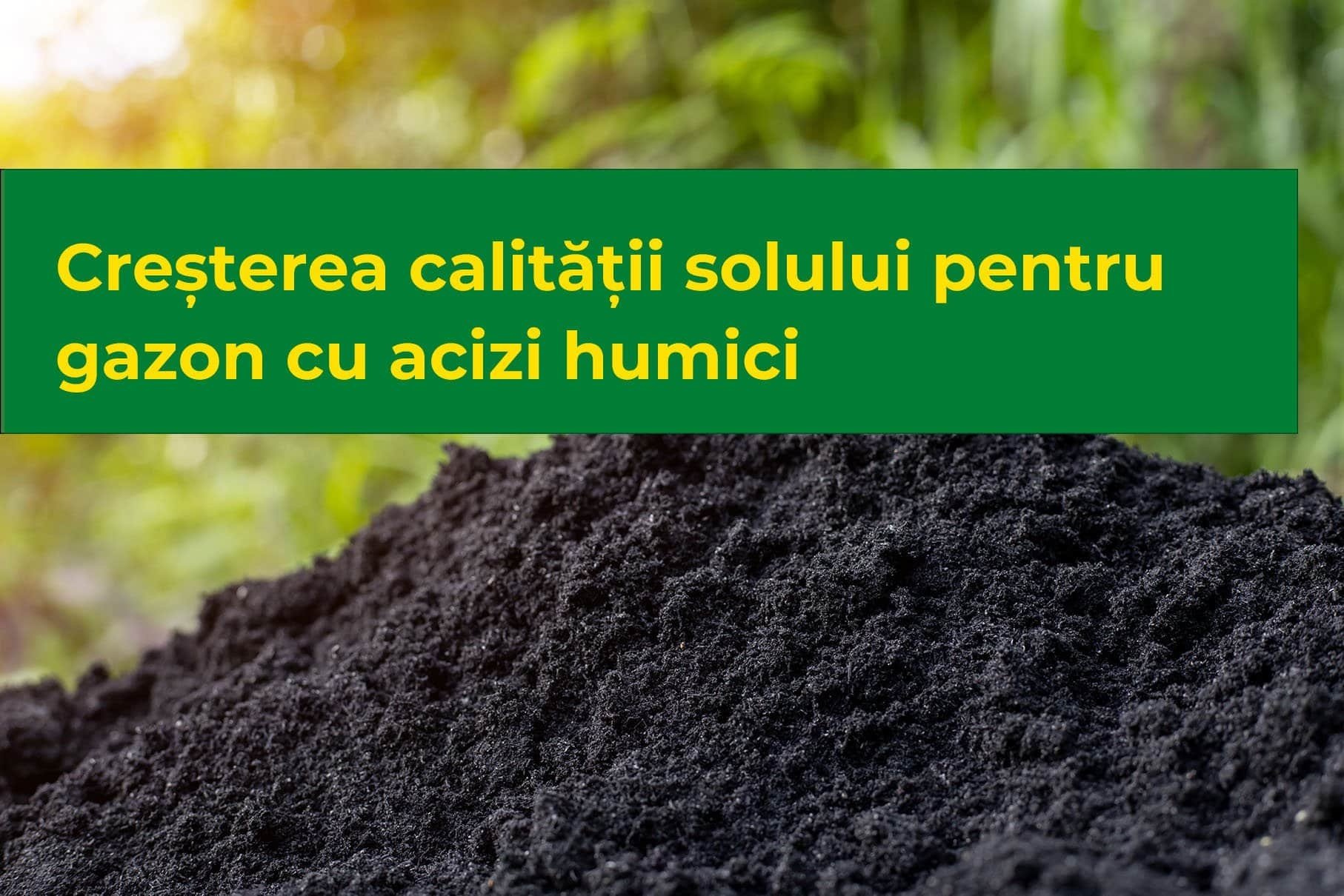 Creșterea calității solului pentru gazon cu acizi humici