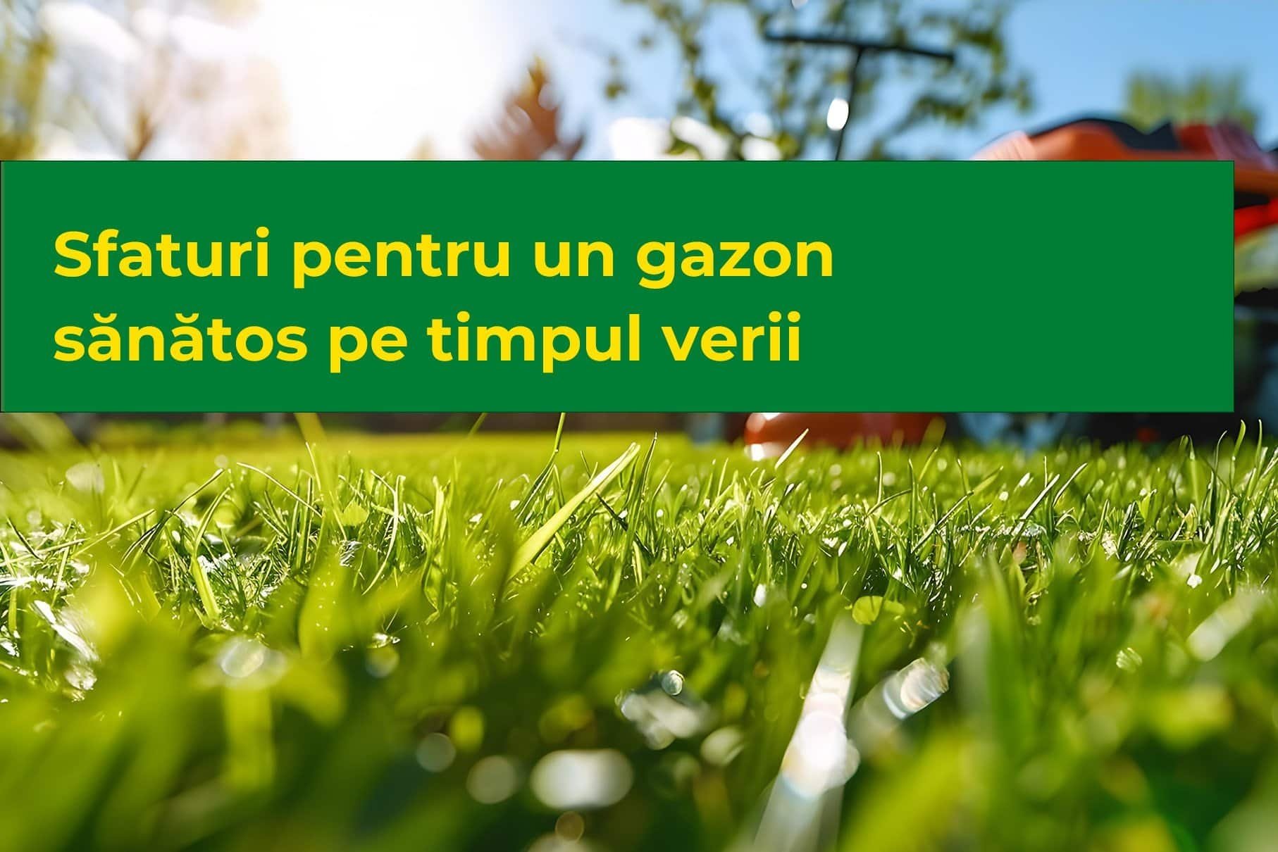 Sfaturi pentru un gazon sănătos pe timpul verii