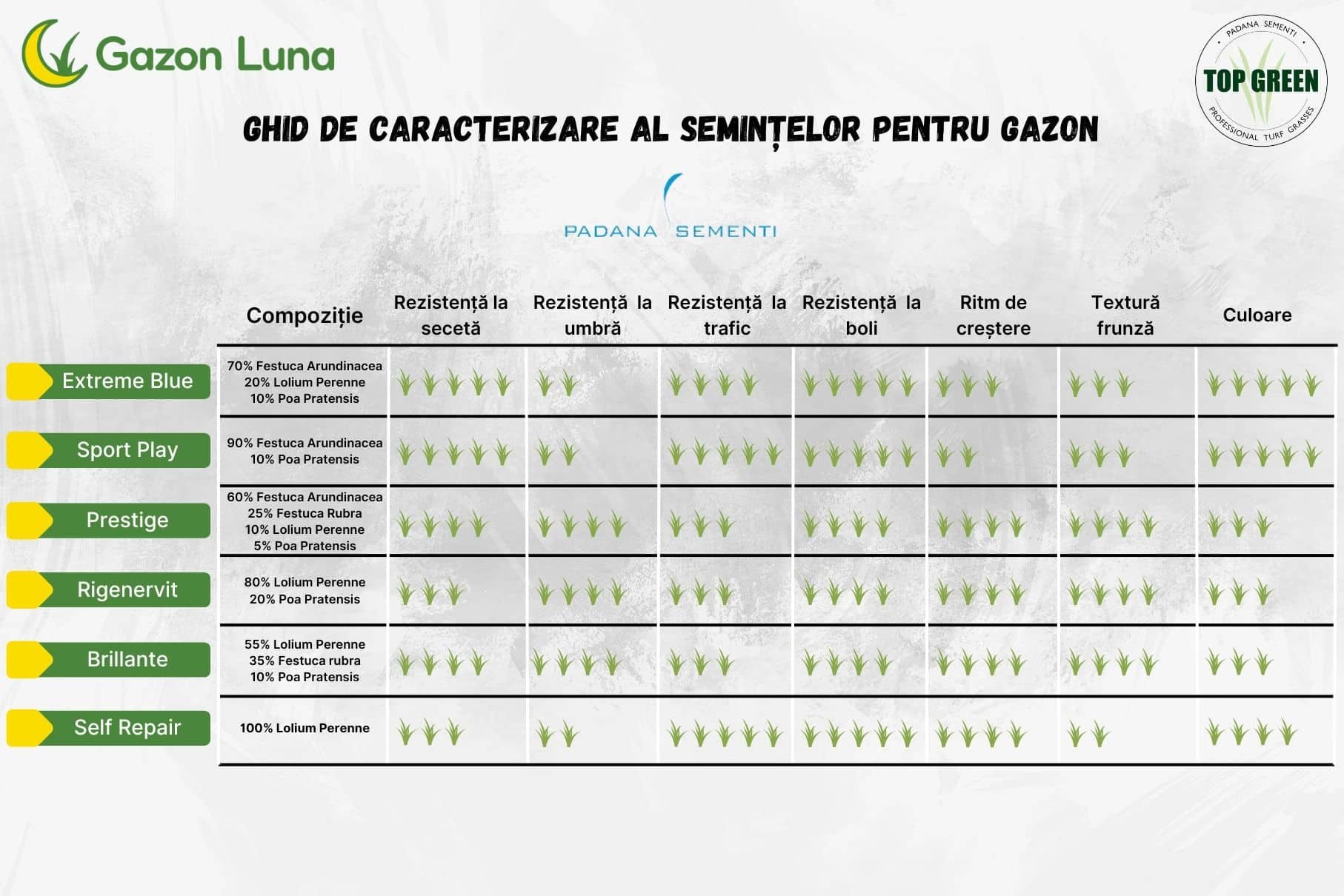 Ghid de alegere al semințelor pentru gazon