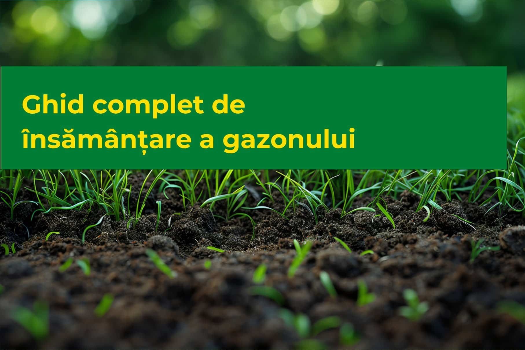 Ghid complet de însămânțare a gazonului