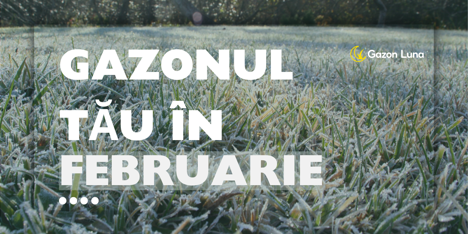 Mentenanța gazonului în luna februarie 2026