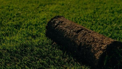 Pregătirea solului pentru gazon