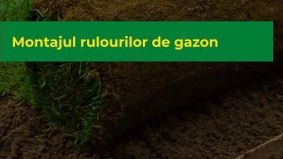 Montajul rulourilor de gazon