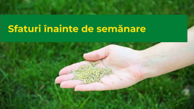 Sfaturi înainte de semănare