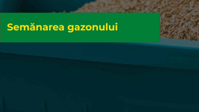 Semănarea gazonului- Ghid complet