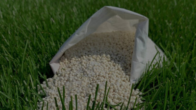 Fertilizarea gazonului