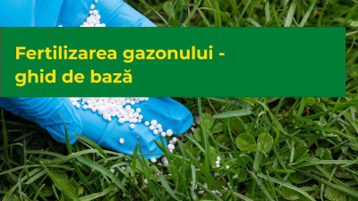 Fertilizarea gazonului - Ghid de bază
