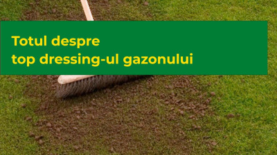 Totul despre top dressing-ul gazonului