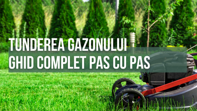 Tunderea gazonului - ghid complet