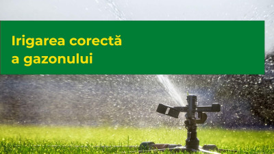 Irigarea corecta a gazonului