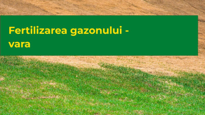Fertilizarea gazonului vara