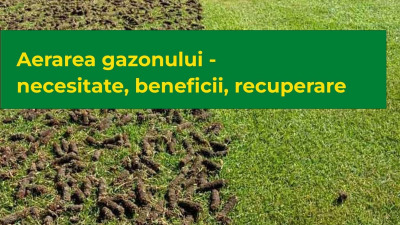 Aerarea gazonului - necesitate, beneficii, recuperare