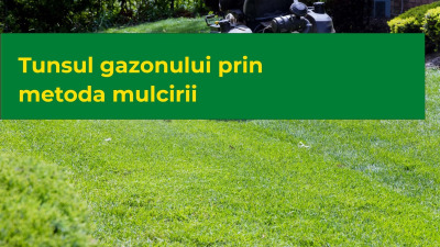 Mulcirea gazonului - Tunsul gazonului prin metoda mulcirii