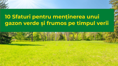 10 sfaturi pentru menținerea unui gazon verde și frumos pe timpul verii