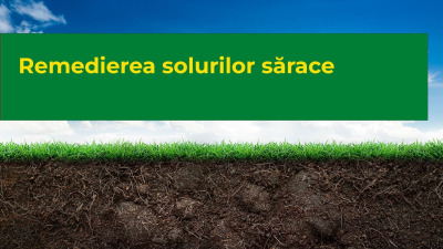 Remedierea solurilor sărace