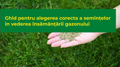 Ghid pentru alegerea corecta a semințelor in vederea însămânțării gazonului