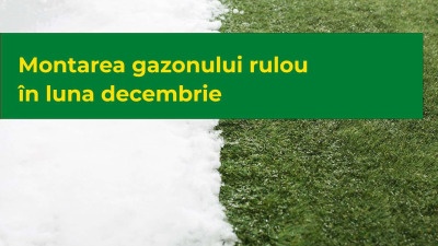 Montarea gazonului rulou în luna decembrie