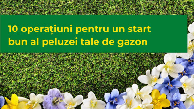 10 operațiuni pentru un start bun al peluzei tale de gazon
