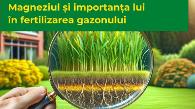 Magneziul și importanța lui în fertilizarea gazonului