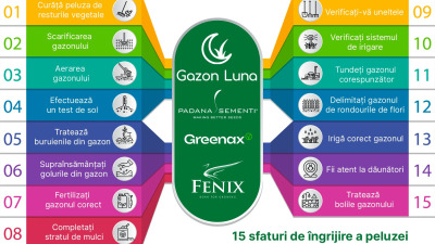 15 operațiuni de primăvară pentru un gazon verde tot anul