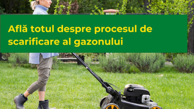 Află totul despre procesul de scarificare al gazonului