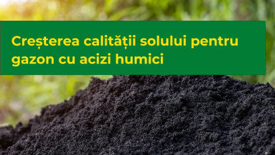Creșterea calității solului pentru gazon cu acizi humici