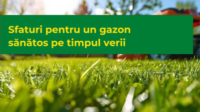 Sfaturi pentru un gazon sănătos pe timpul verii