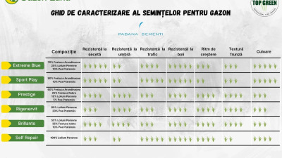 Ghid de alegere al semințelor pentru gazon