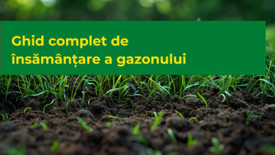 Ghid complet de însămânțare a gazonului