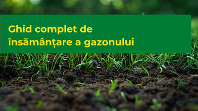 Ghid complet de însămânțare a gazonului