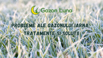 Probleme ale gazonului iarna : Tratamente și soluții