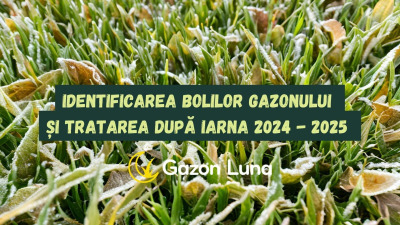 Identificarea bolilor gazonului și tratarea după iarna 2024 - 2025