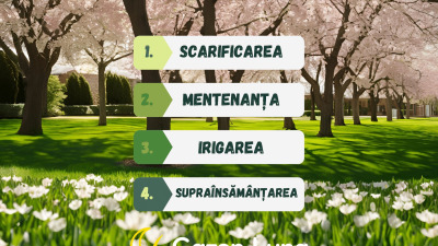 Îngrijirea gazonului în prima parte a primăverii