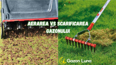 Aerarea și Scarificarea Gazonului