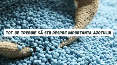 Tot ce trebuie să știi despre importanța Azotului