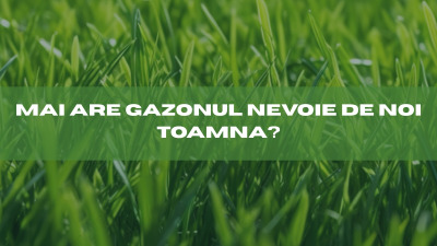 De ce ignorăm îngrijirea gazonului toamna?