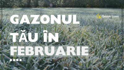 Mentenanța gazonului în luna februarie 2026