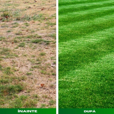 Îngrășământ foliar GREENBOOST, NPK 16-0-0+3.5% Fier, pentru înverzire rapidă și eliminare mușchi - Img 4