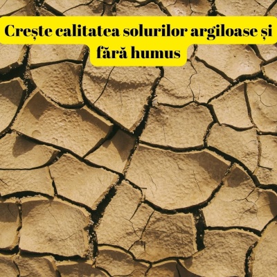 Îngrășământ foliar pentru gazon ALGA ECKLOMAX, 1 litru, acoperire 2000 mp2, alge ECklonia Maxima+aminoacizi - Img 3