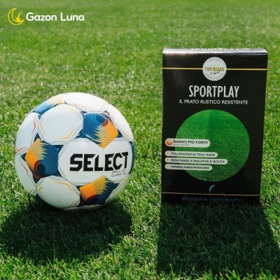 Semințe de gazon profesionale Padana© SportPlay, 1 kg, verde închis, rezistență la seceta, rezistență la călcare, permite tăieri joase - Img 3