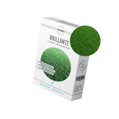 Semințe de gazon profesionale Padana Brillante, 1kg, acoperire 35 metri pătrați, germinare rapidă, gazon fin, uniform și verde intens