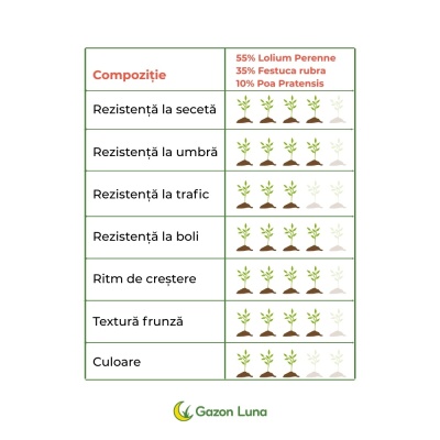 Semințe de gazon profesionale Padana Brillante, 5kg, acoperire 150 metri pătrați, germinare rapidă, gazon fin, uniform și verde intens - Img 3