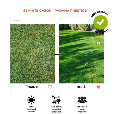 Semințe de gazon profesionale Padana Prestige, 5kg, acoperire 150 metri pătrați, pentru parcuri și spațiii verzi, gazon dens și uniform, cu întreținere redusă - Img 5