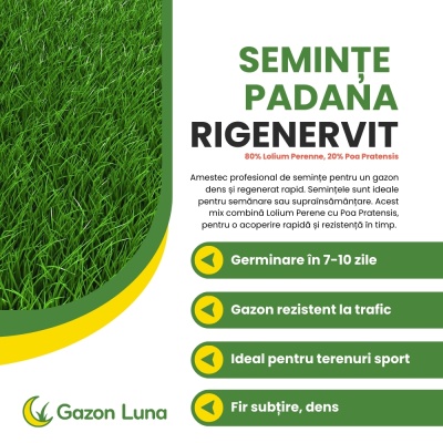 Semințe de gazon profesionale Padana Rigenervit, 10kg, acoperire 300 metri pătrați, pentru gazon dens, uniform și verde imediat - Img 2
